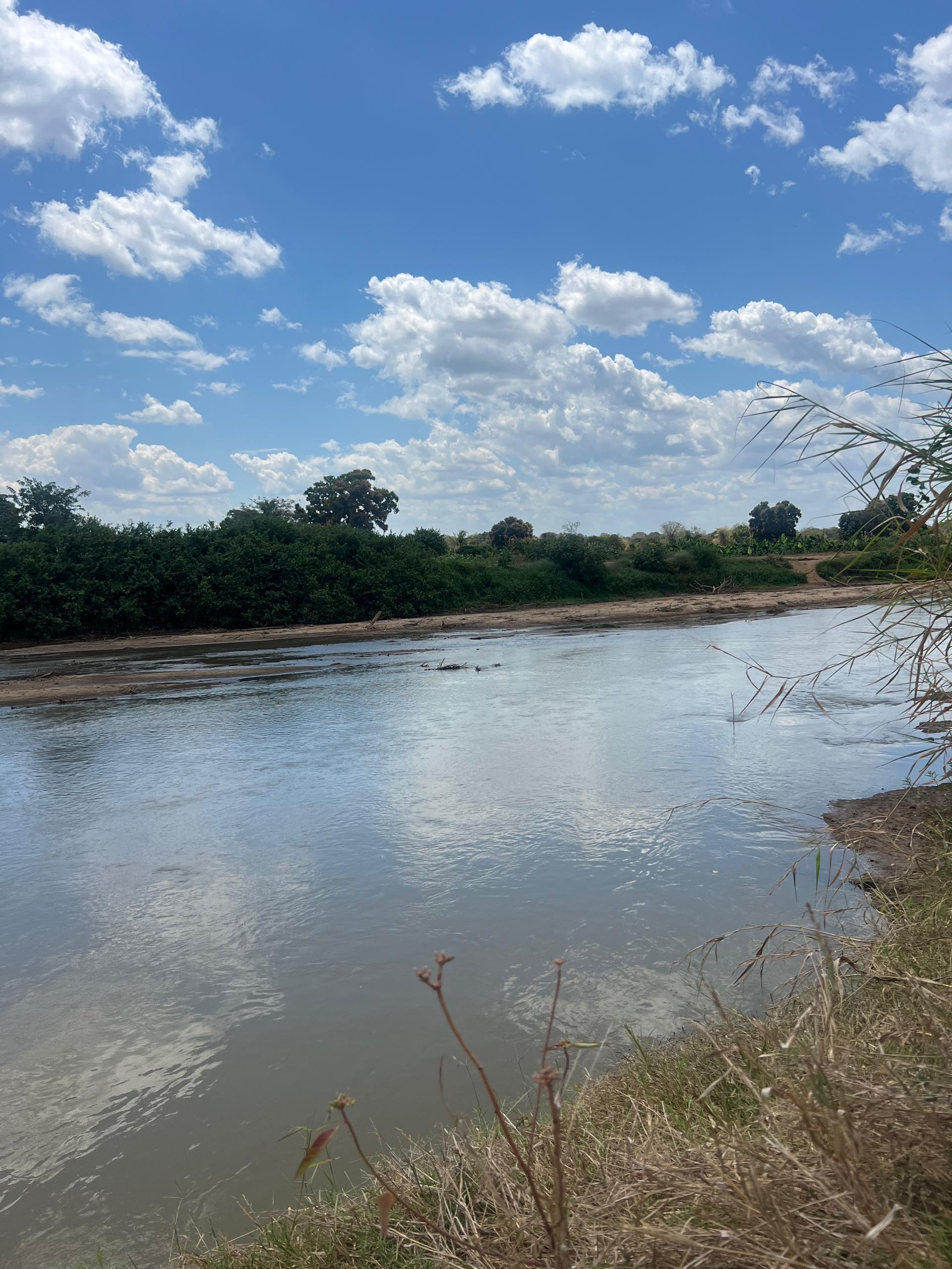 Forest walk and river landscape