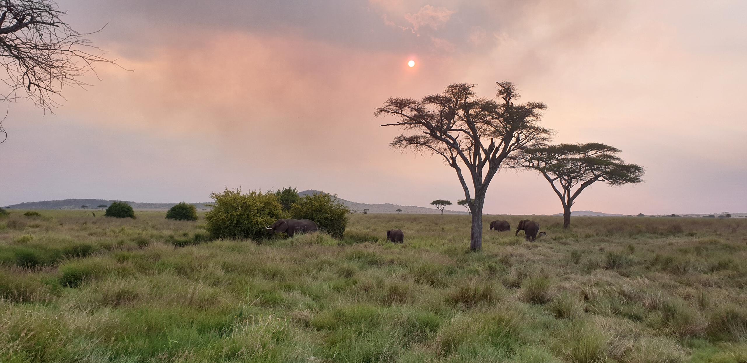 Northern Tanzania horizon